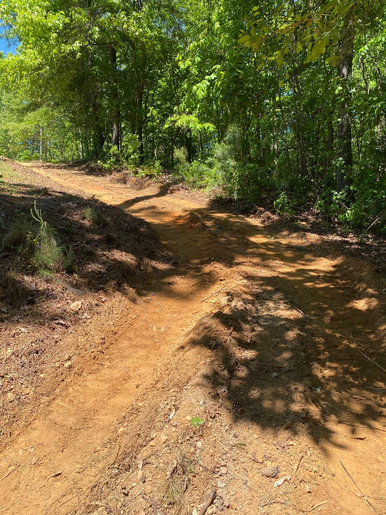 Graded dirt driveway on a wooded slope after clearing