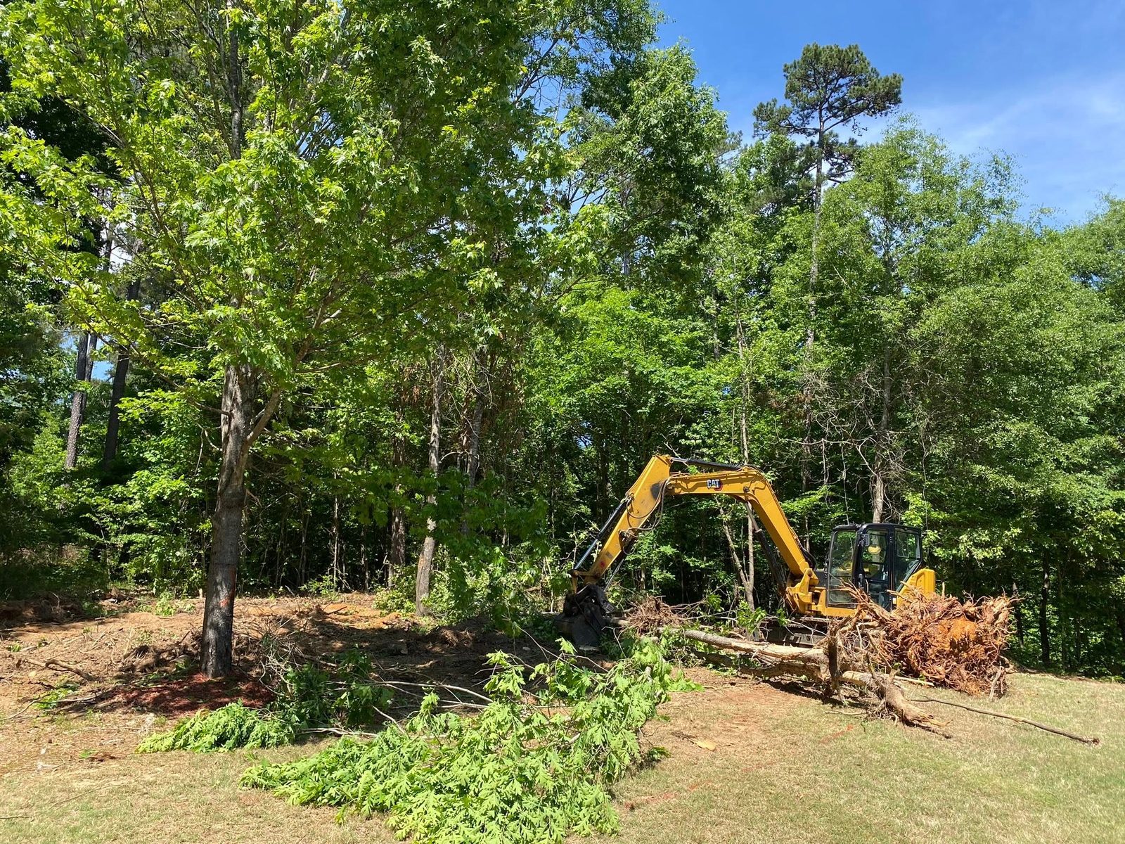 Excavator removing brush and small trees during land clearing