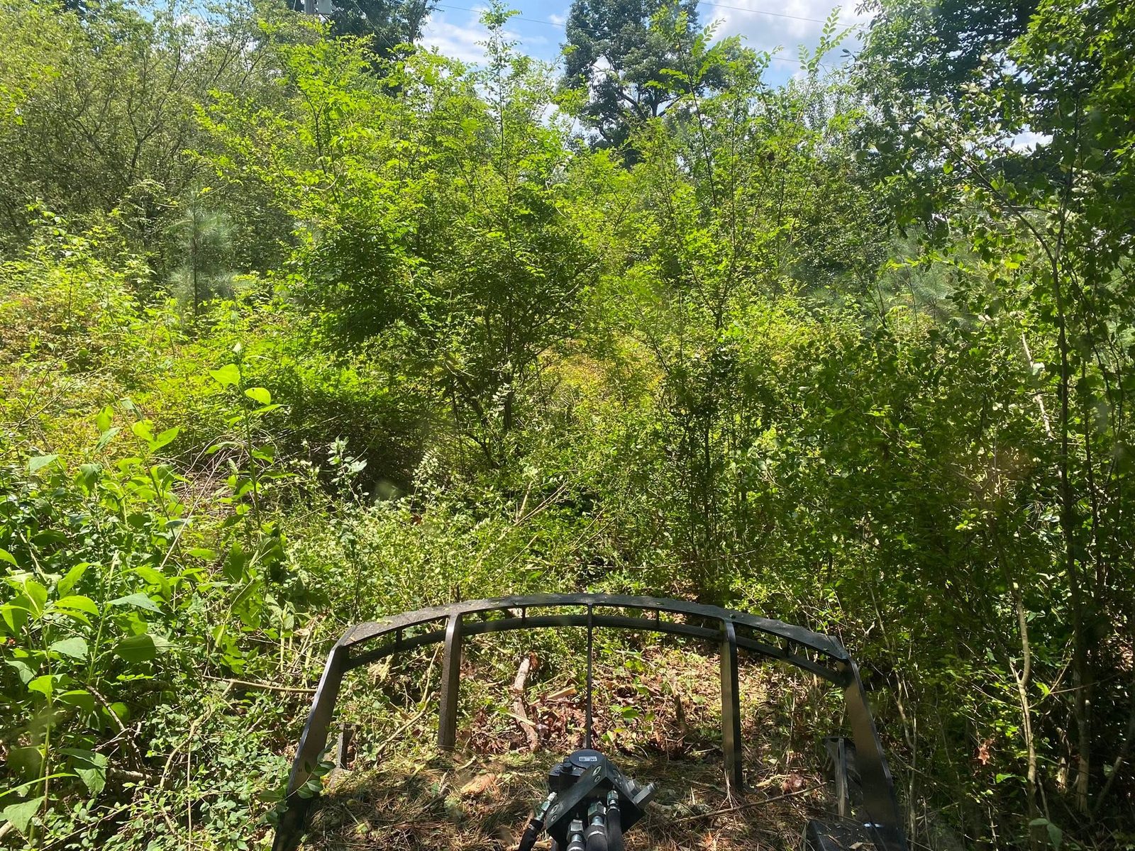 Forestry Mulching